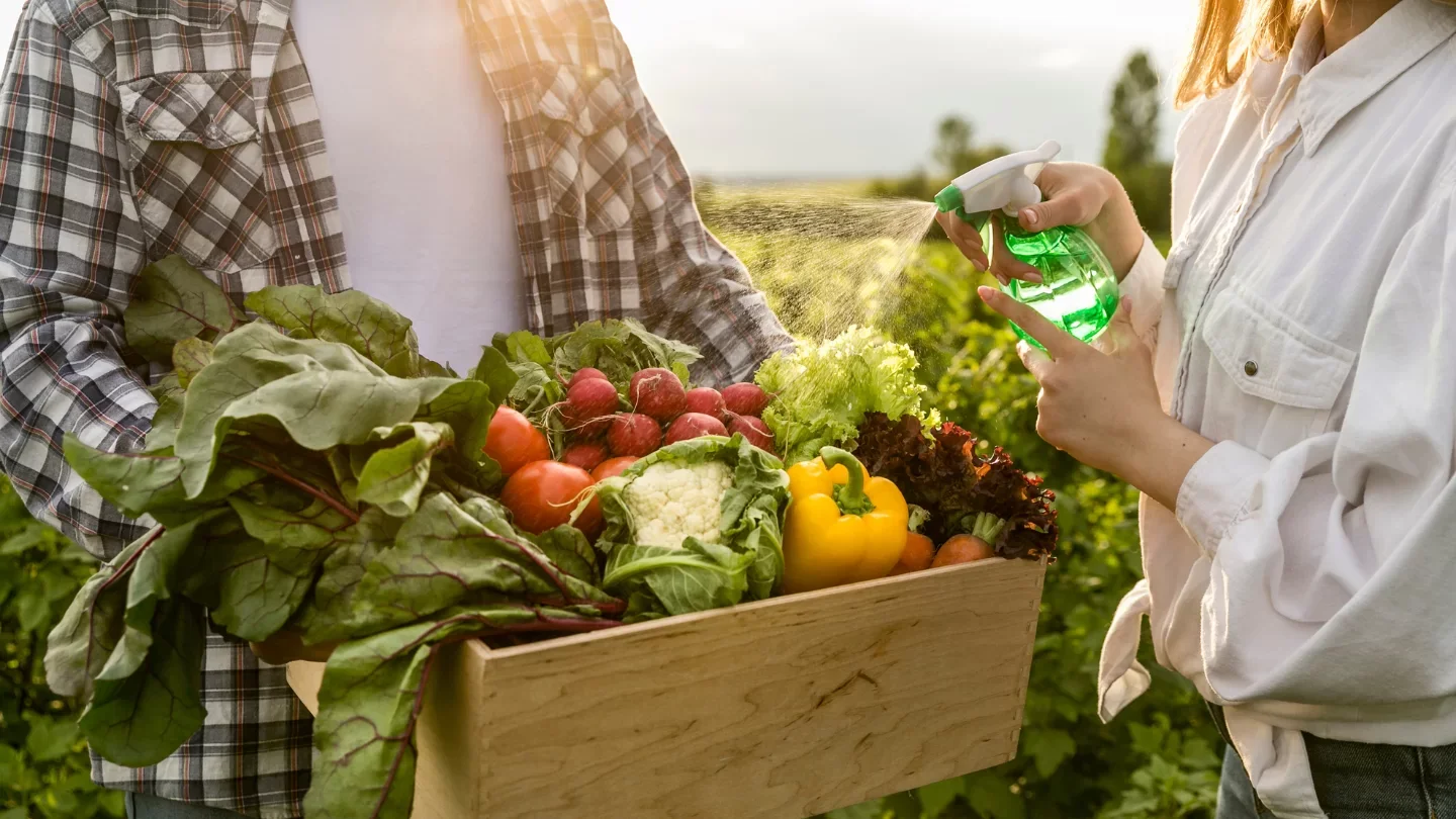 Agricultura Familiar: Produção Ecológica Sustentável