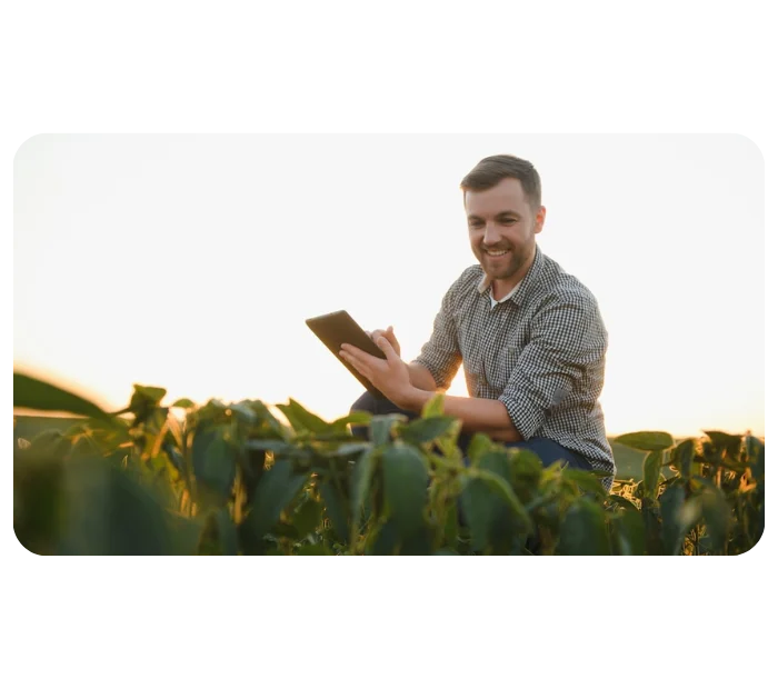 A Importância da Gestão de Manejo na Certificação de Propriedades na Produção Orgânica