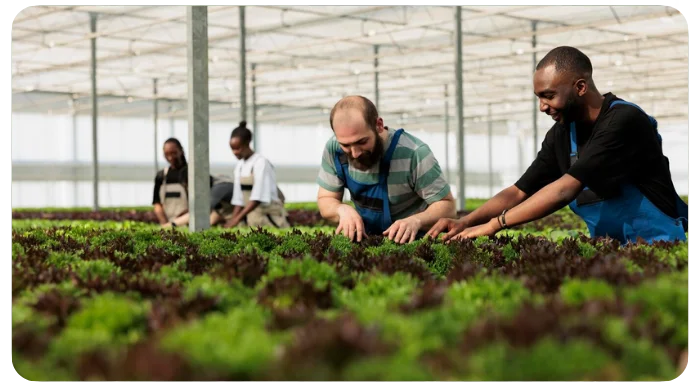 A Importância do Programa de Fortalecimento da Agricultura Familiar