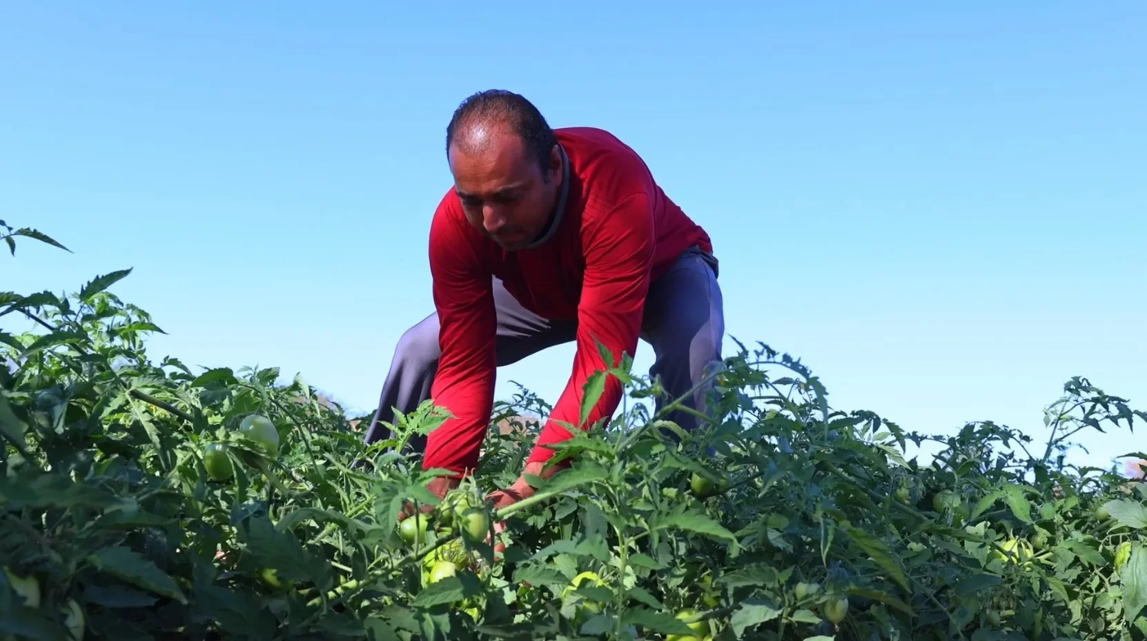 O papel da pesquisa na valorização da agricultura familiar no Brasil