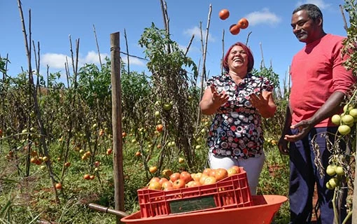 Criação do &#8220;SUS&#8221; para a agricultura familiar e reforma agrária